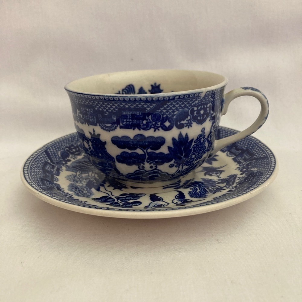 Blue Willow Japan Cup and Saucer